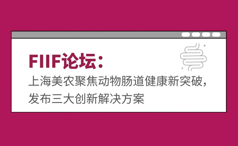 FIIF论坛：上海雀魂官网聚焦动物肠路健全新突破，颁布三大创新解决规划